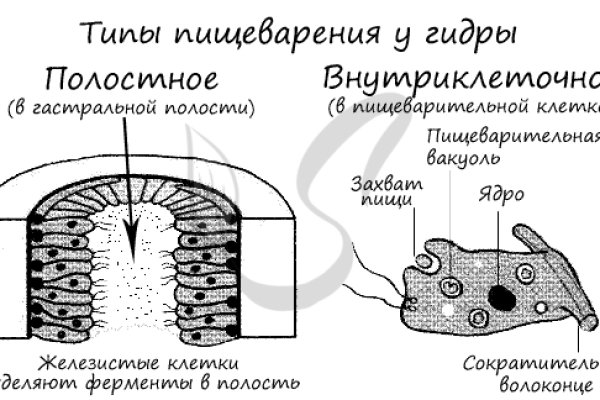 Кракен зеркало рабочее onion