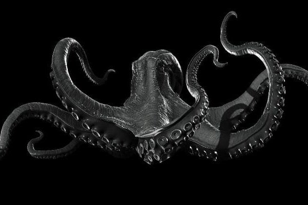 Kraken18 at