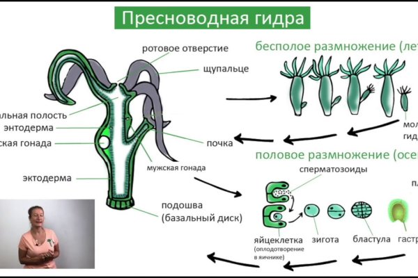 Вход кракен