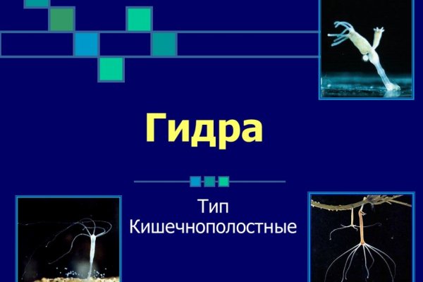 Кракен торговая площадка даркнет