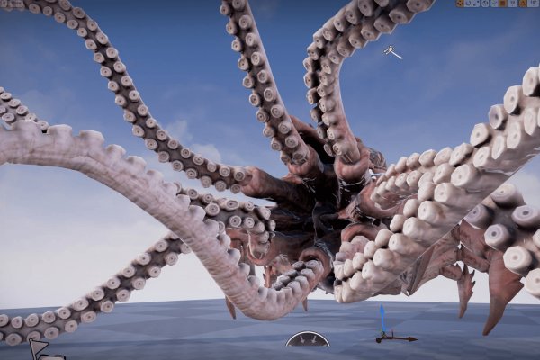 Kraken рабочий