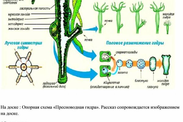 Пользователь не найден кракен