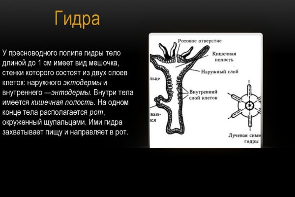 Взломали аккаунт на кракене что делать