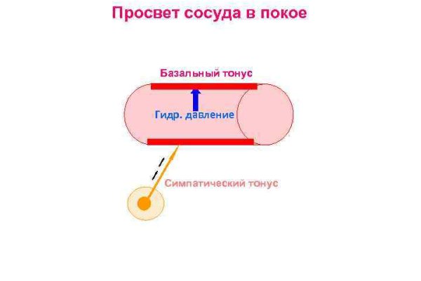 Актуальный домен кракена