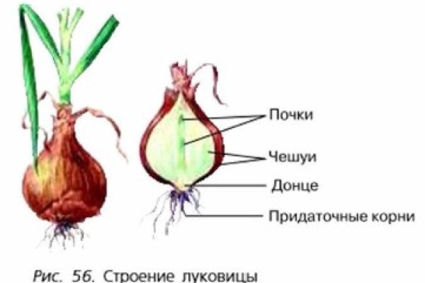 Аккаунты кракен